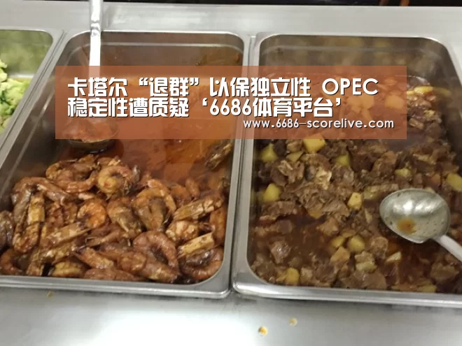 卡塔尔“退群”以保独立性 OPEC稳定性遭质疑‘6686体育平台’(图1) 6686电竞直播