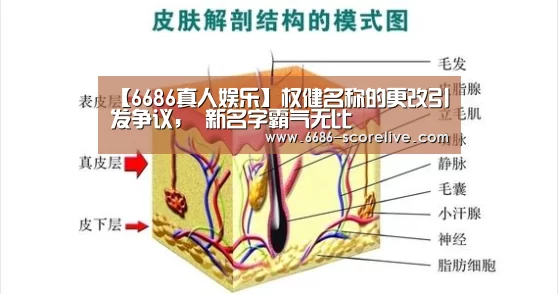 【6686真人娱乐】权健名称的更改引发争议, 新名字霸气无比(图4) 6686体育赛事直播