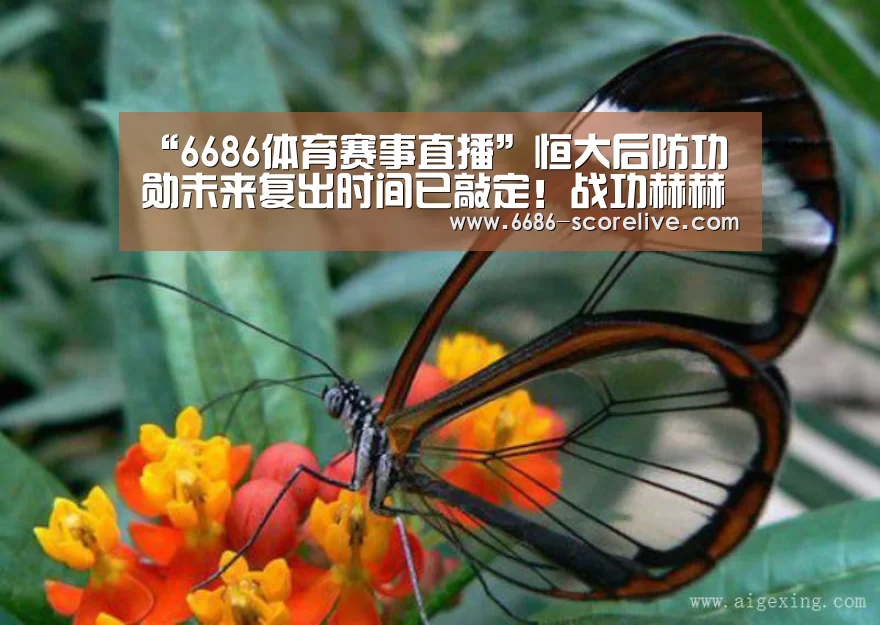 6686体育平台